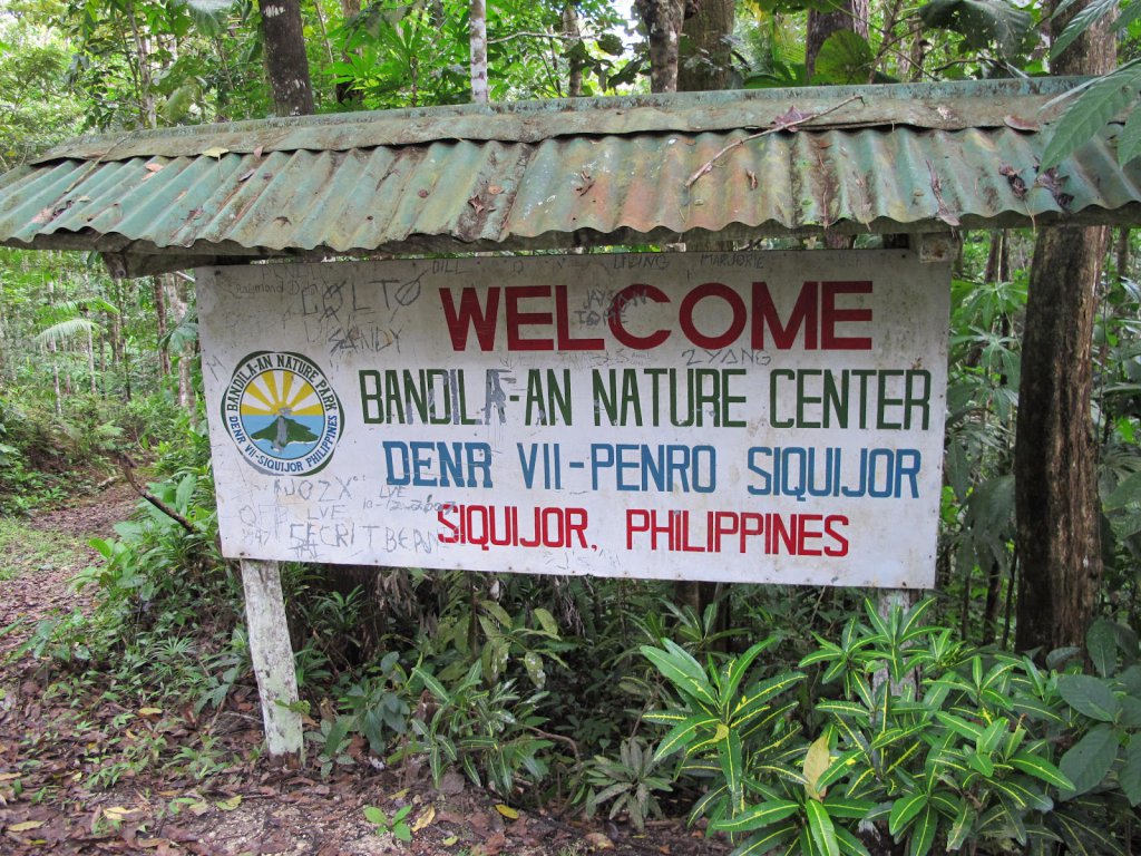 Mt. Bandilaan National Park | Siquijor island - information